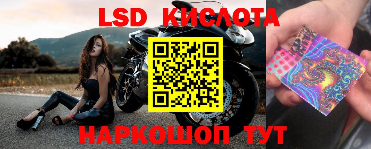 Кингисепп  Лсд 25 экстази кислота  Вход с VPN 